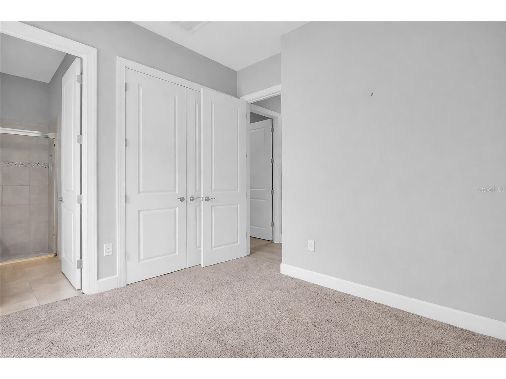 20161 Umbria Hill Drive Tampa FL 33647 TB8490012 image42