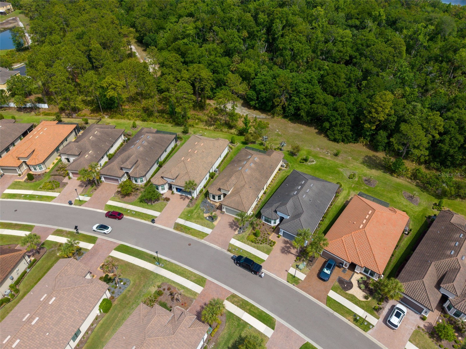 20161 Umbria Hill Drive Tampa FL 33647 TB8490012 image58