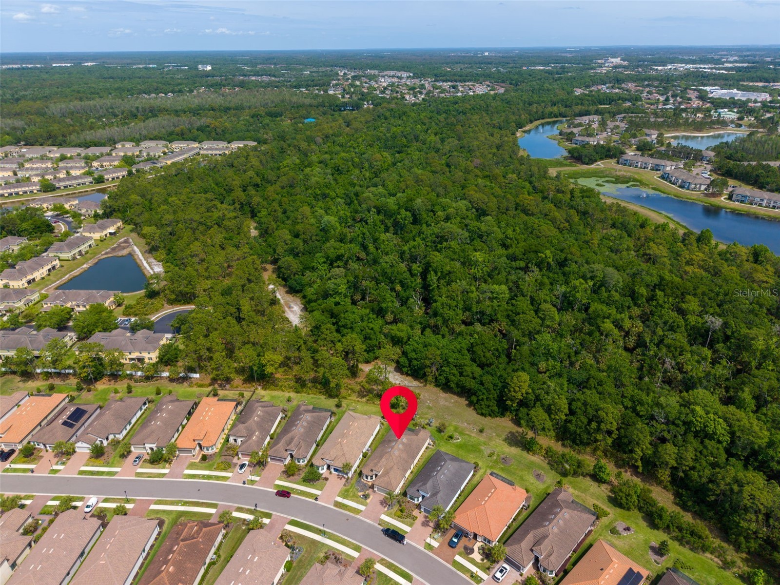 20161 Umbria Hill Drive Tampa FL 33647 TB8490012 image59