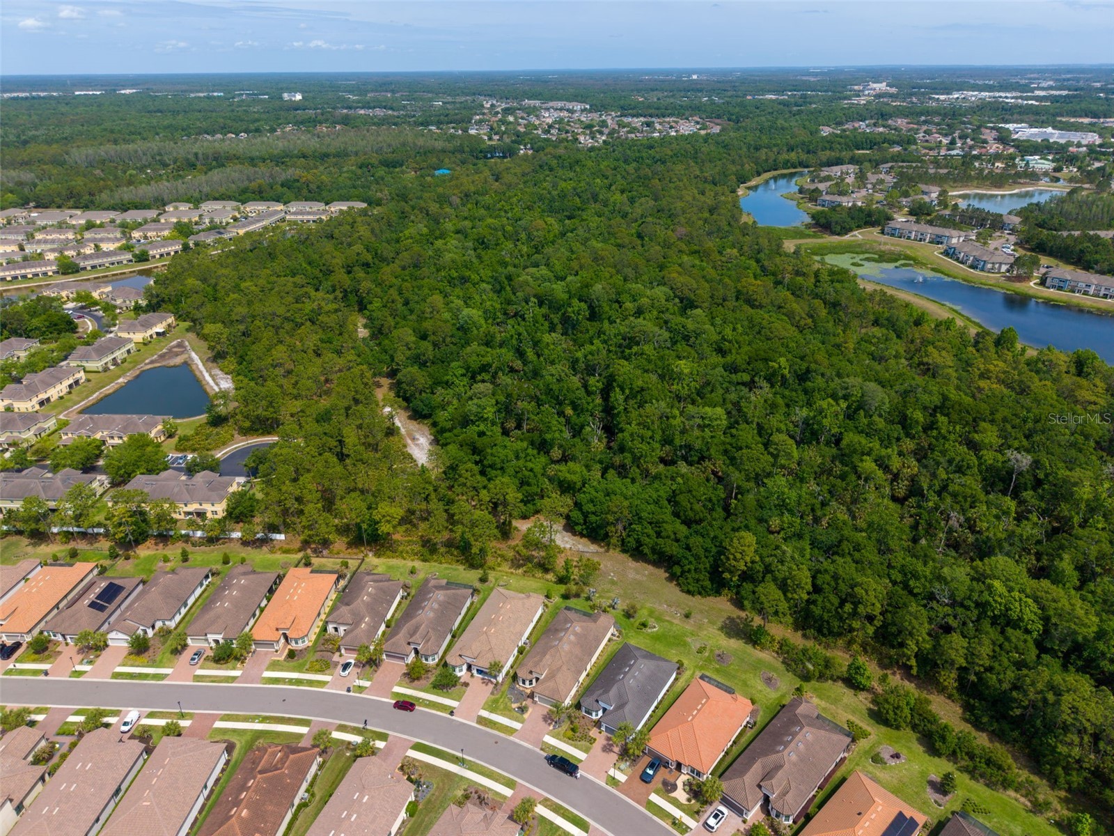 20161 Umbria Hill Drive Tampa FL 33647 TB8490012 image60
