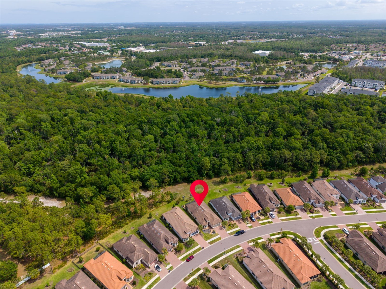 20161 Umbria Hill Drive Tampa FL 33647 TB8490012 image61