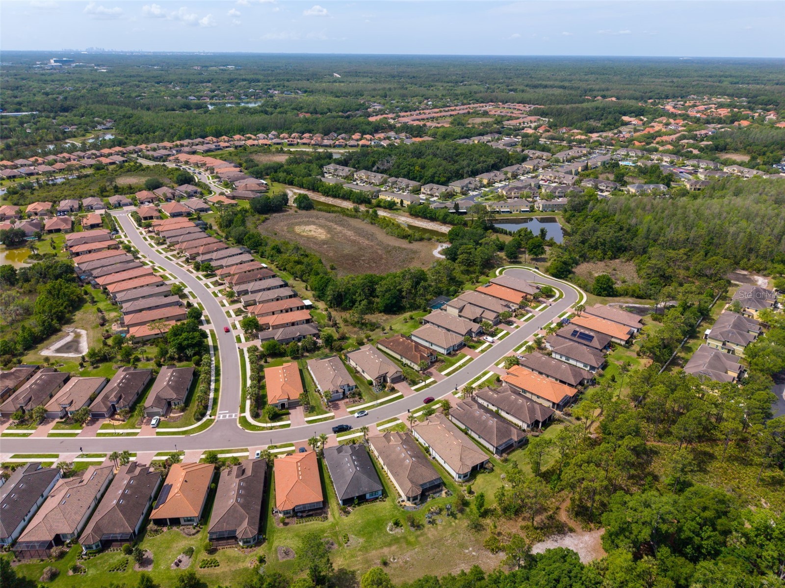 20161 Umbria Hill Drive Tampa FL 33647 TB8490012 image64