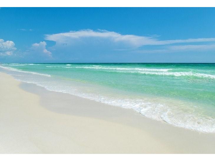 2017 Hullhouse Drive #351 Sun City Center FL 33573 TB8494171 image36