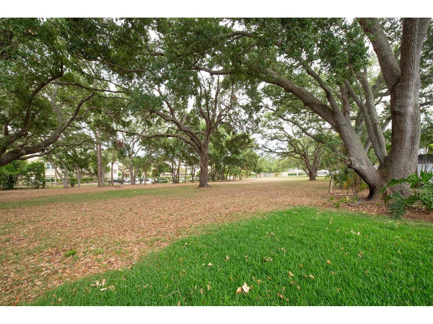 2017 Kamensky Road Clearwater FL 33763 TB8504426 image39