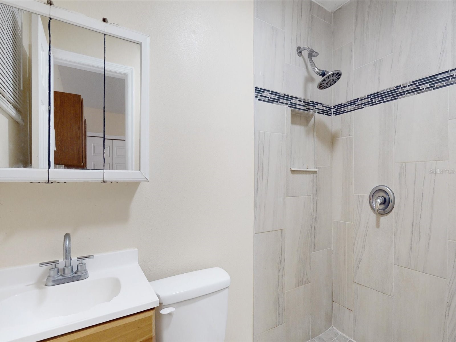 2017 Miller Boulevard Fruitland Park FL 34731 S5146285 image37