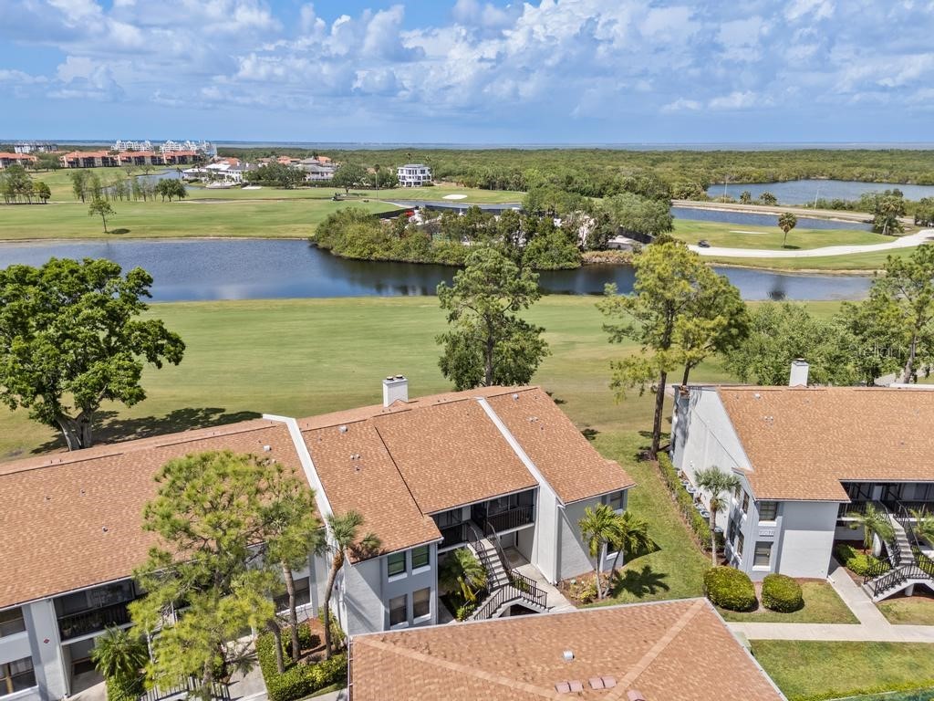 2017 Skimmer Court W #416 Clearwater FL 33762 TB8370259 image33