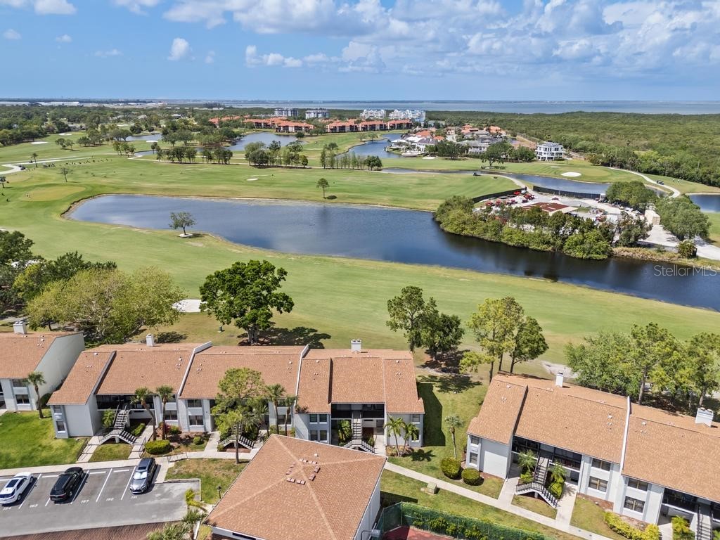 2017 Skimmer Court W #416 Clearwater FL 33762 TB8370259 image34