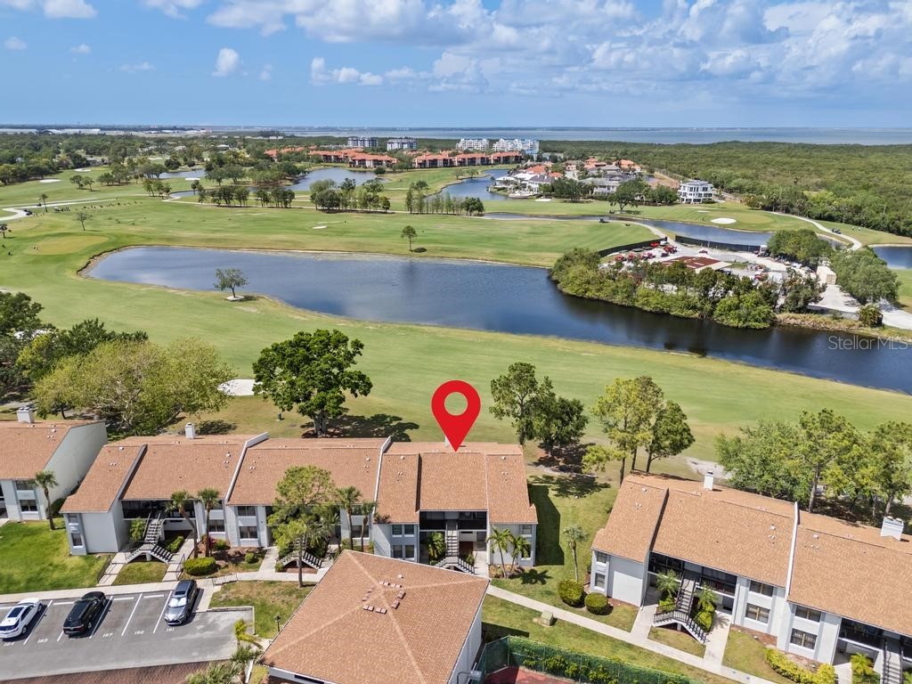 2017 Skimmer Court W #416 Clearwater FL 33762 TB8370259 image35