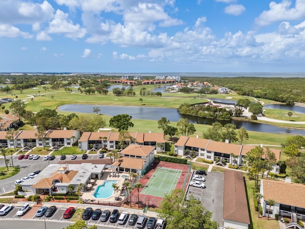 2017 Skimmer Court W #416 Clearwater FL 33762 TB8370259 image36