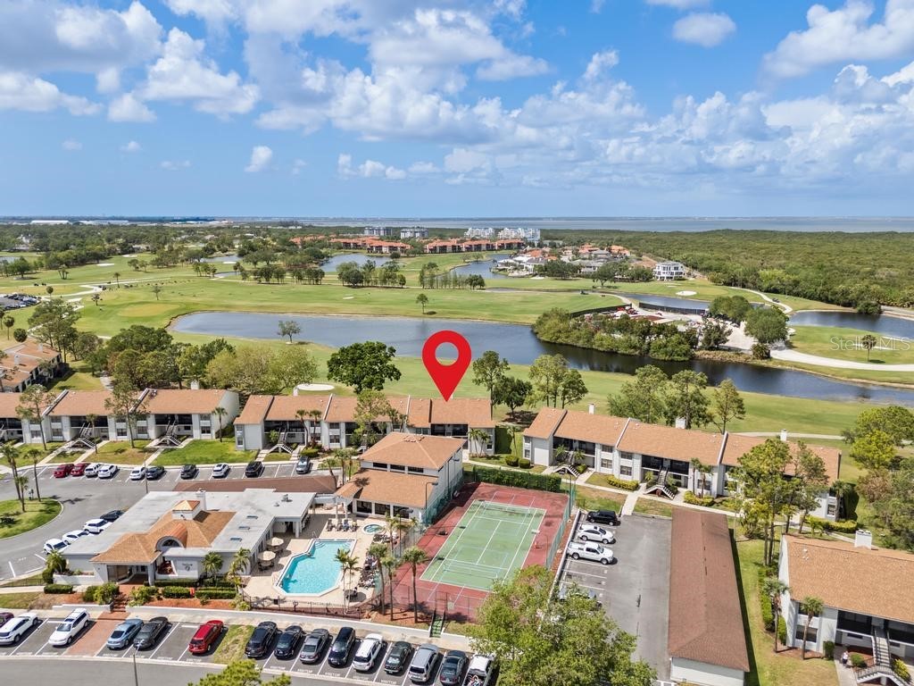 2017 Skimmer Court W #416 Clearwater FL 33762 TB8370259 image37