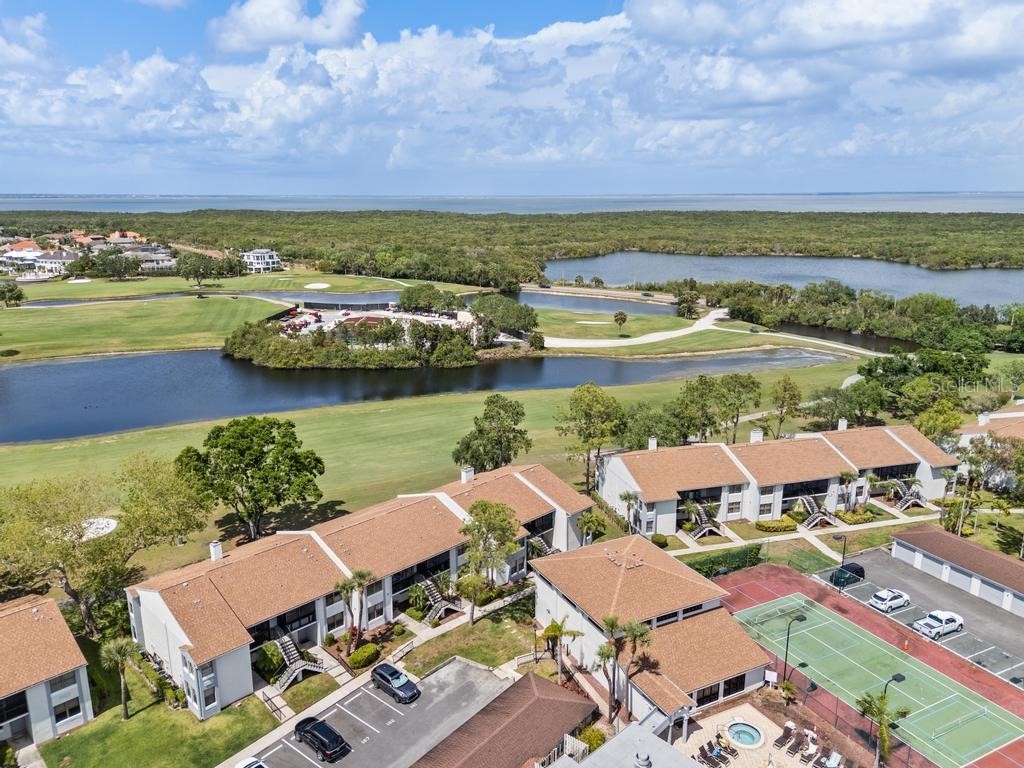 2017 Skimmer Court W #416 Clearwater FL 33762 TB8370259 image40