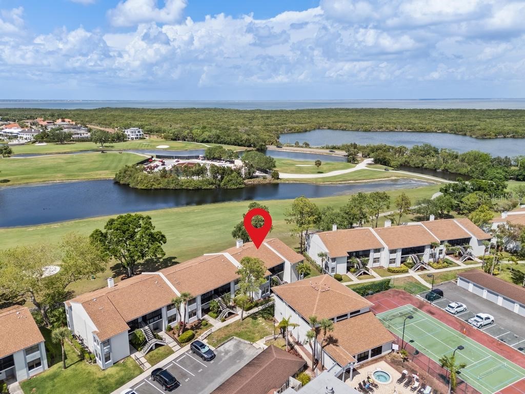 2017 Skimmer Court W #416 Clearwater FL 33762 TB8370259 image41