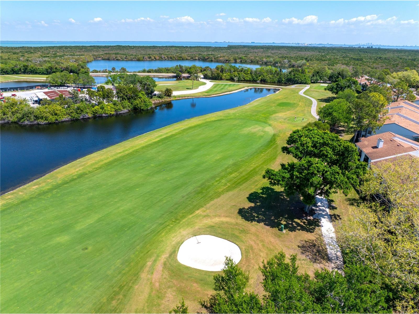 2017 Skimmer Ct W #424 Clearwater FL 33762 TB8491107 image38