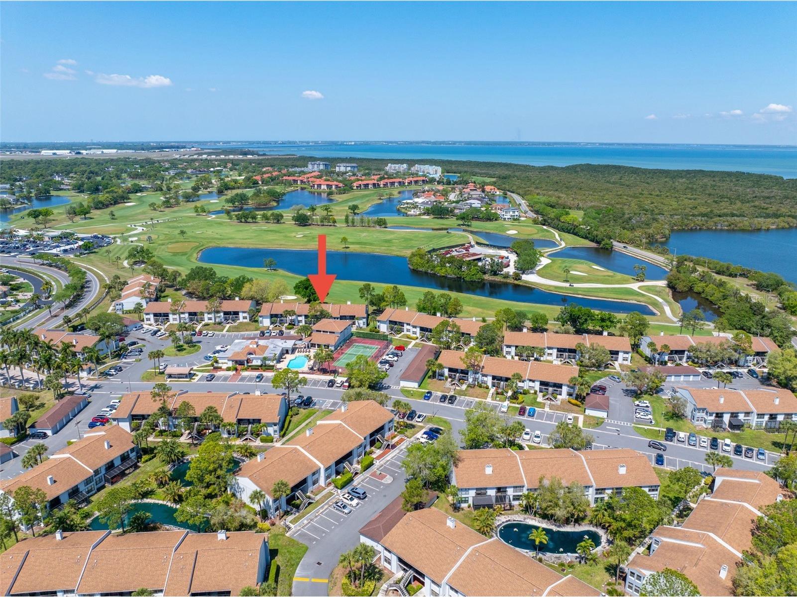 2017 Skimmer Ct W #424 Clearwater FL 33762 TB8491107 image40