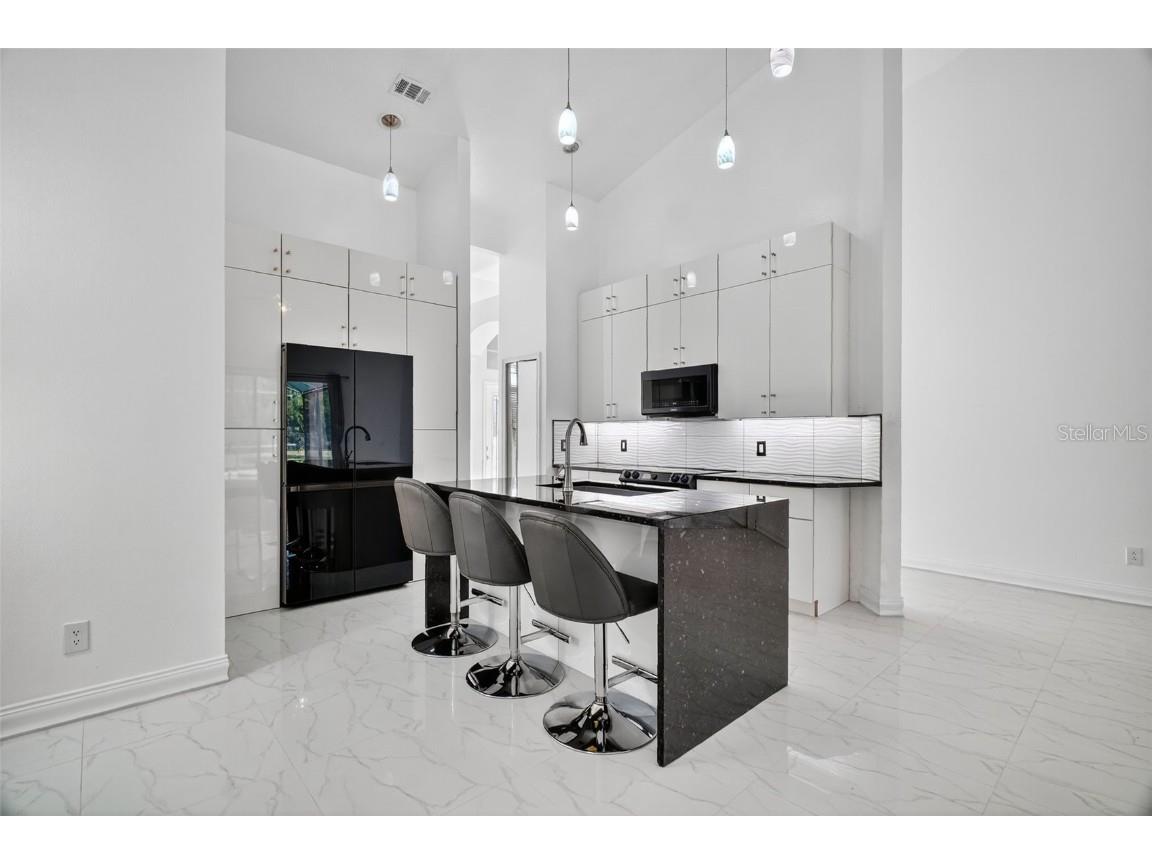 2017 Stefano Court Mount Dora FL 32757 G5101338 image15