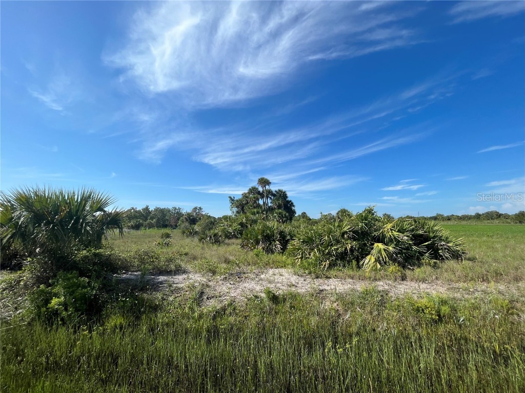20170 NW 280th Street Okeechobee FL 34972 OK222895 image1