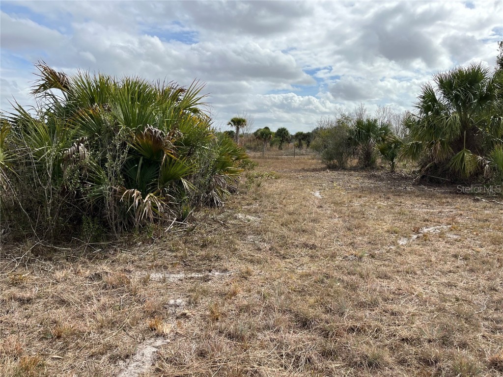 20170 NW 280th Street Okeechobee FL 34972 OK223527 image1