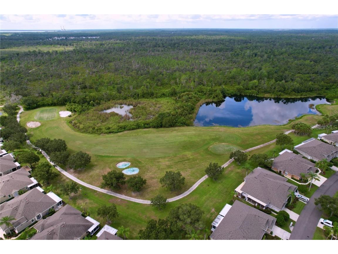 2018 Inverness Greens Drive #2018 Sun City Center FL 33573 TB8409941 image46