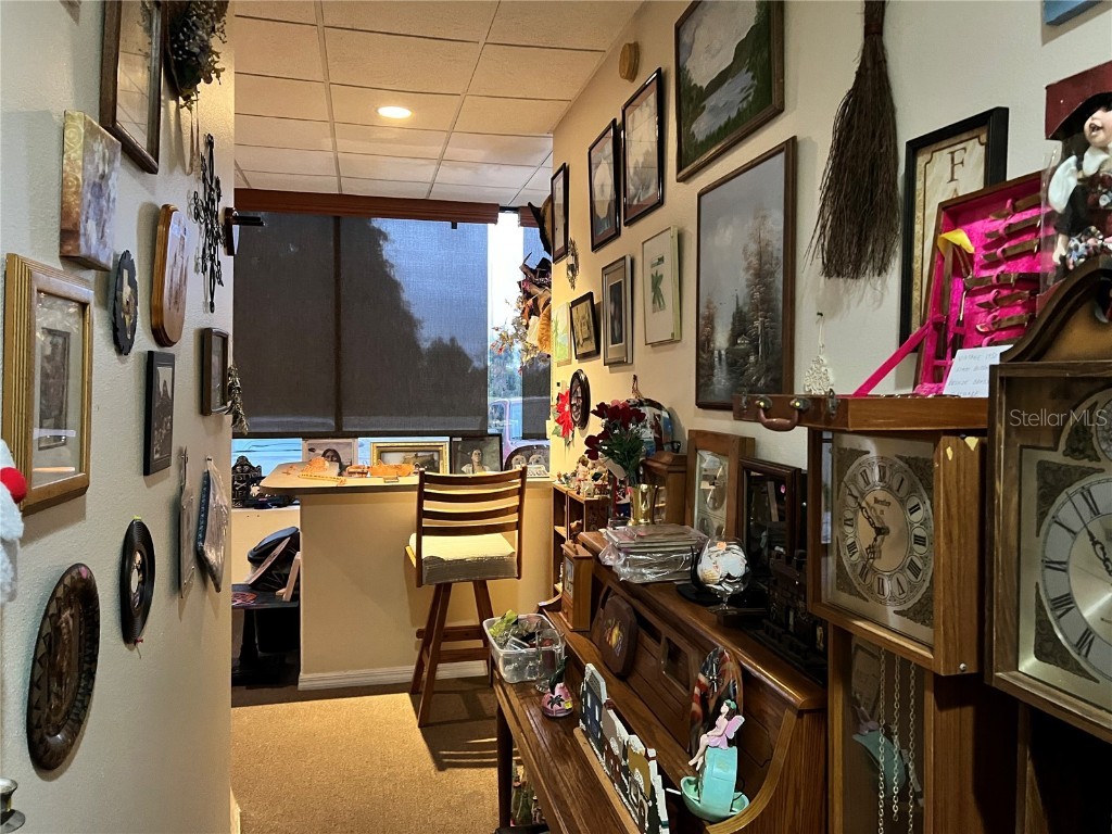 2018 N Florida Avenue Hernando FL 34442 G5101739 image23