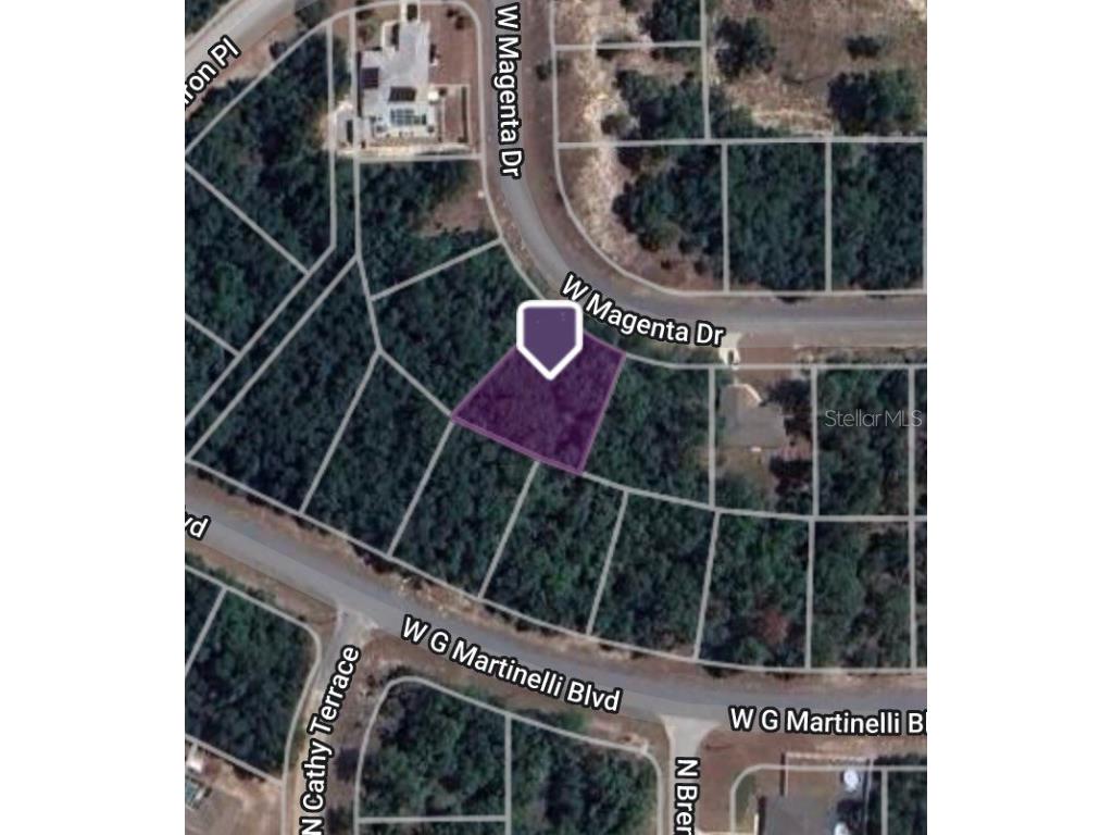 2018 W Magenta Drive Citrus Springs FL 34434 TB8307932 image1