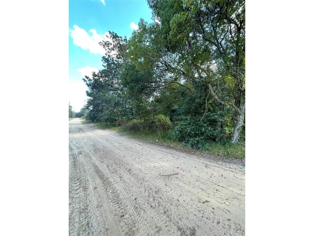 20180 SE 141st Street Umatilla FL 32784 O6364682 image1