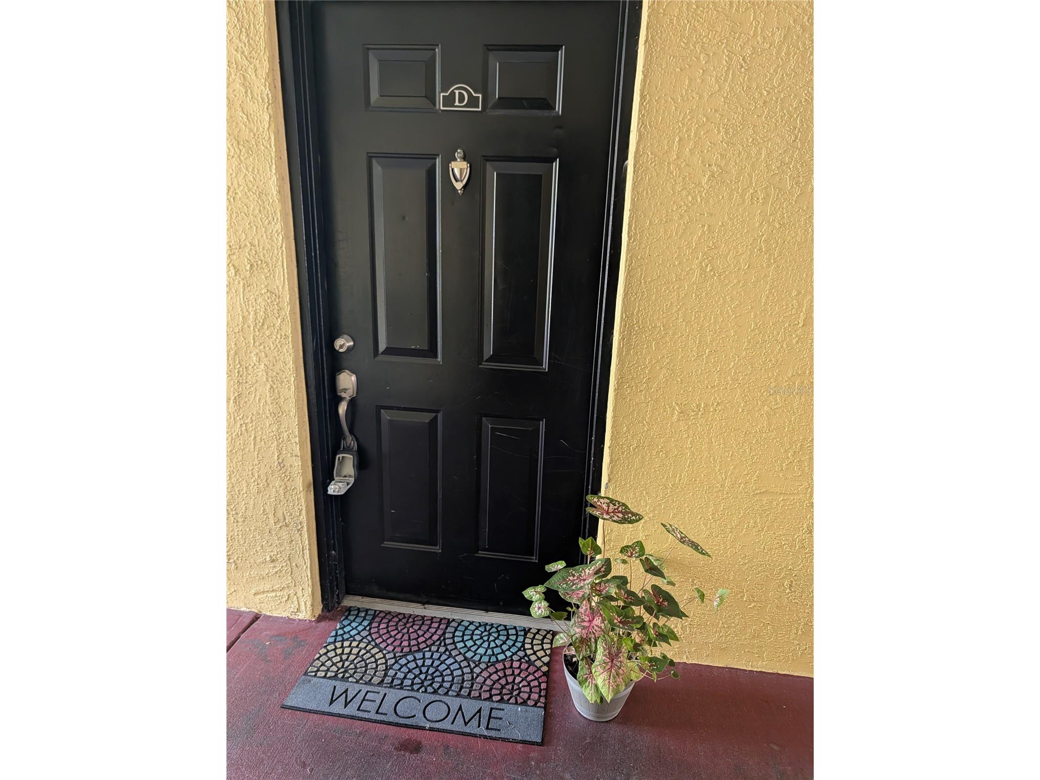 2019 Dixie Belle Drive #2019D Orlando FL 32812 S5152316 image2