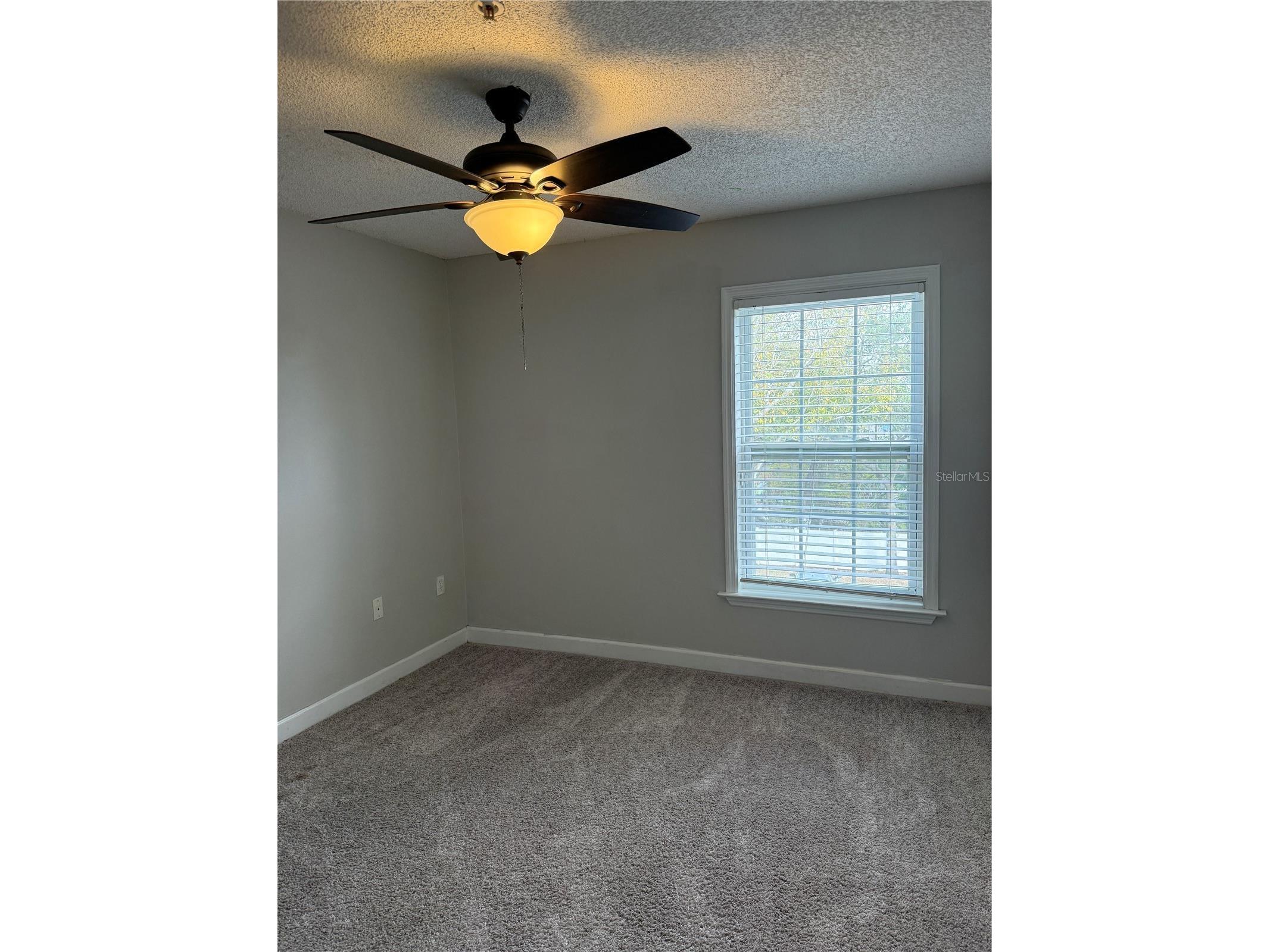 2019 Dixie Belle Drive #2019W Orlando FL 32812 O6386833 image15
