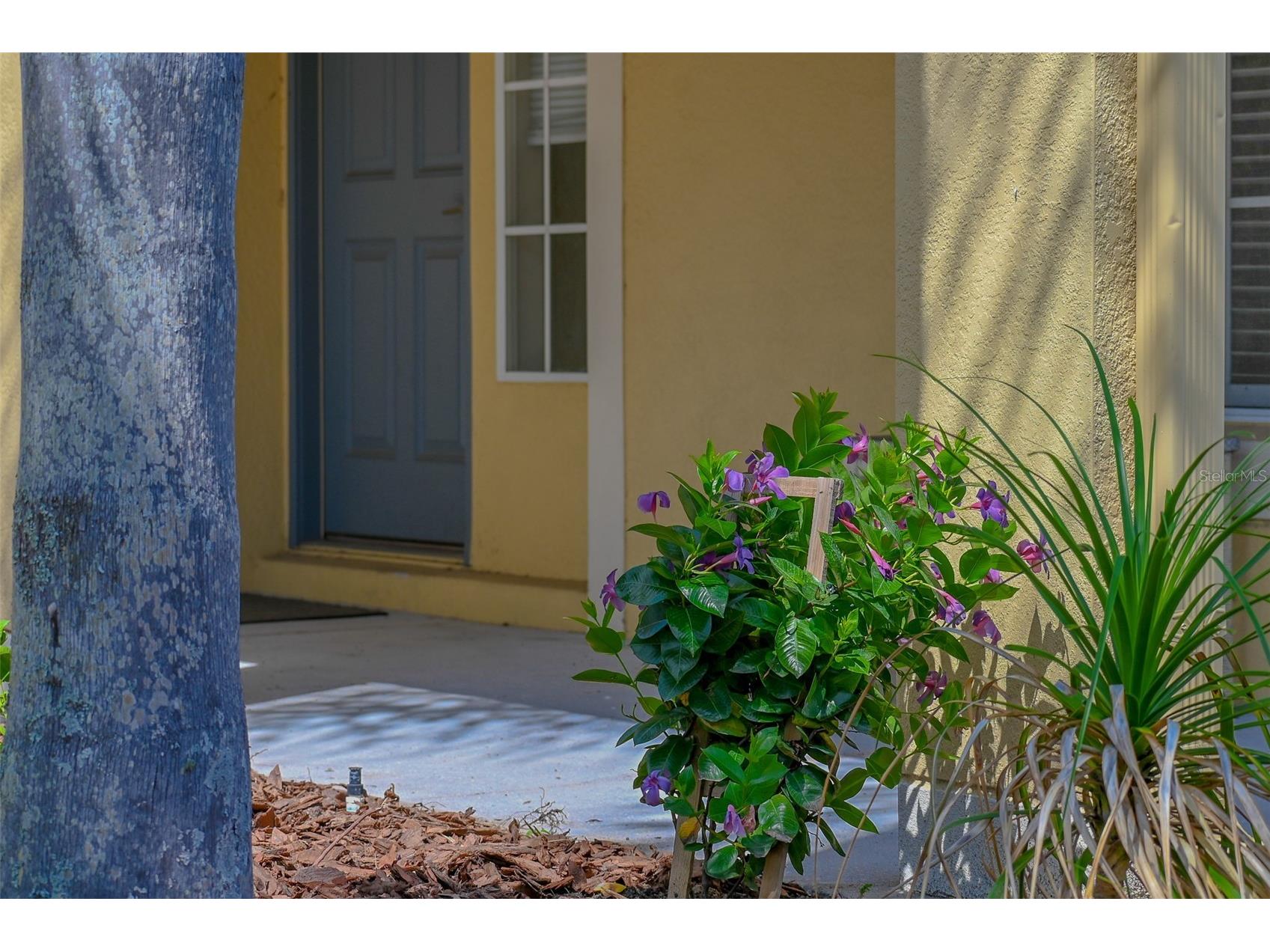 2019 Honeybell Avenue Haines City FL 33844 O6411676 image4