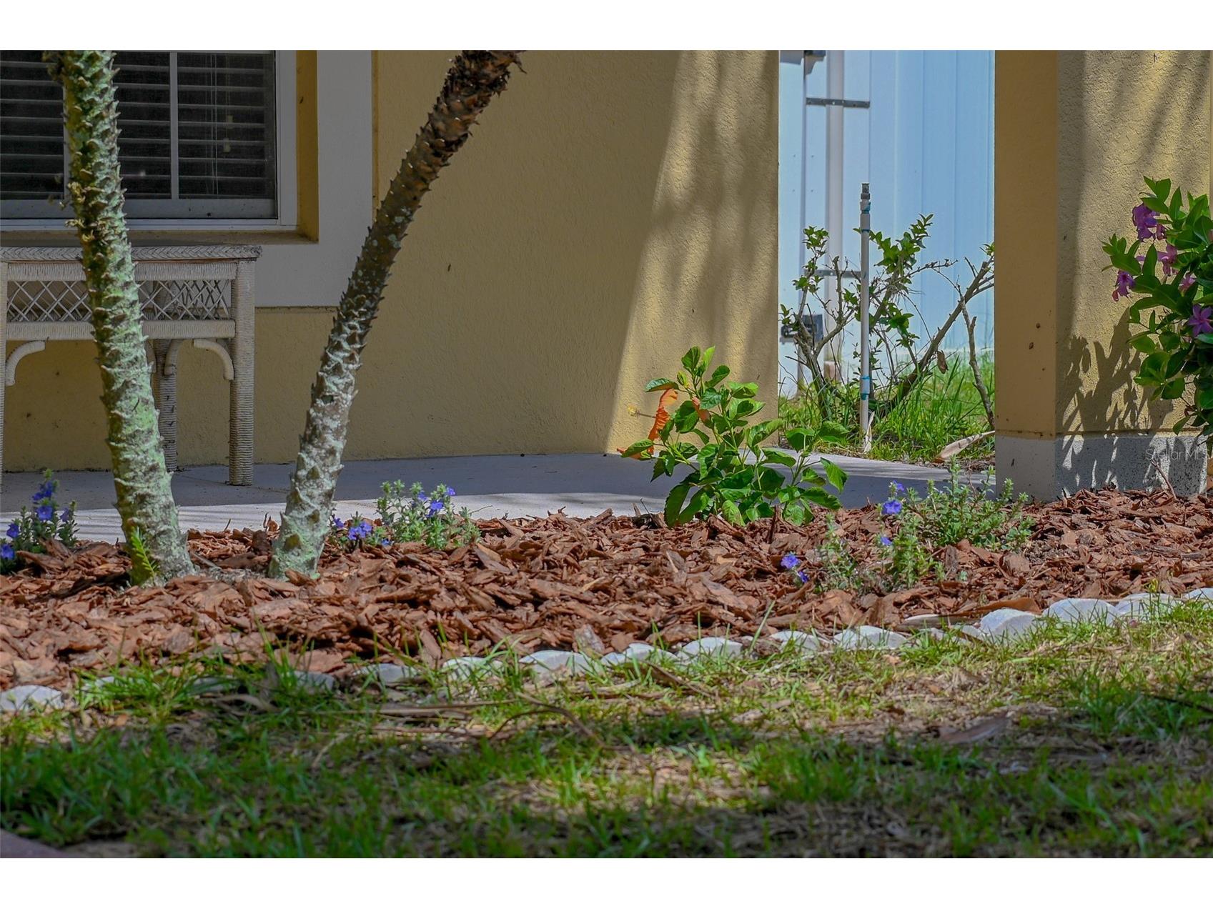 2019 Honeybell Avenue Haines City FL 33844 O6411676 image5