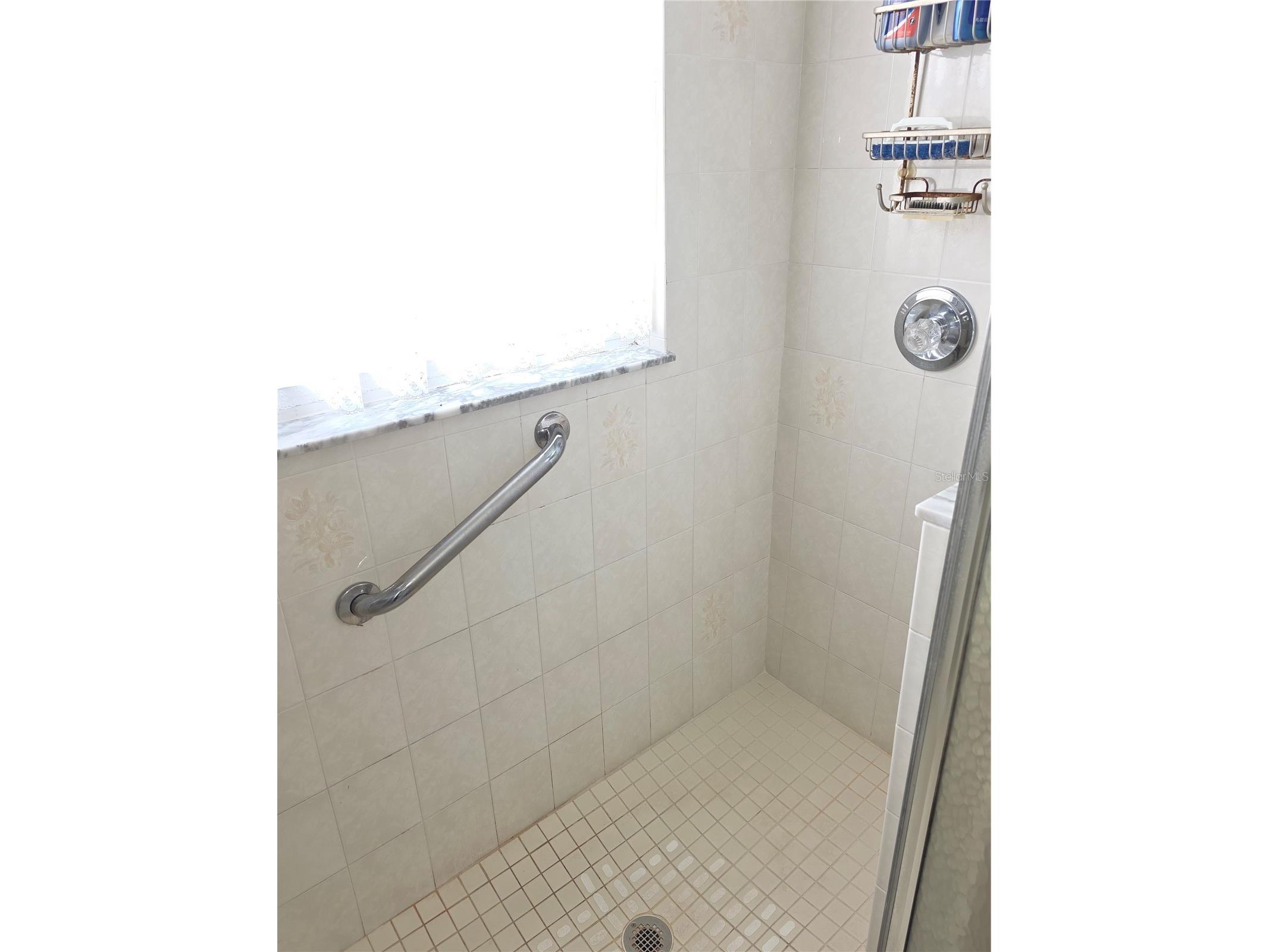 2019 Quailwood Lane Spring Hill FL 34606 W7884610 image13