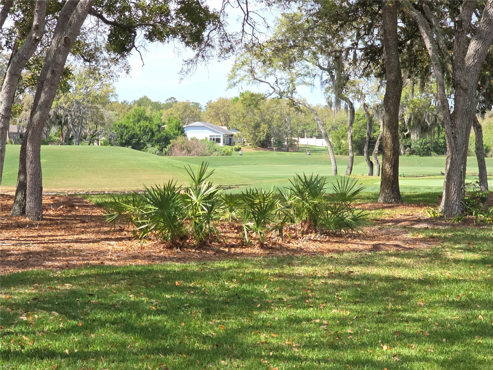 2019 Quailwood Lane Spring Hill FL 34606 W7884610 image23