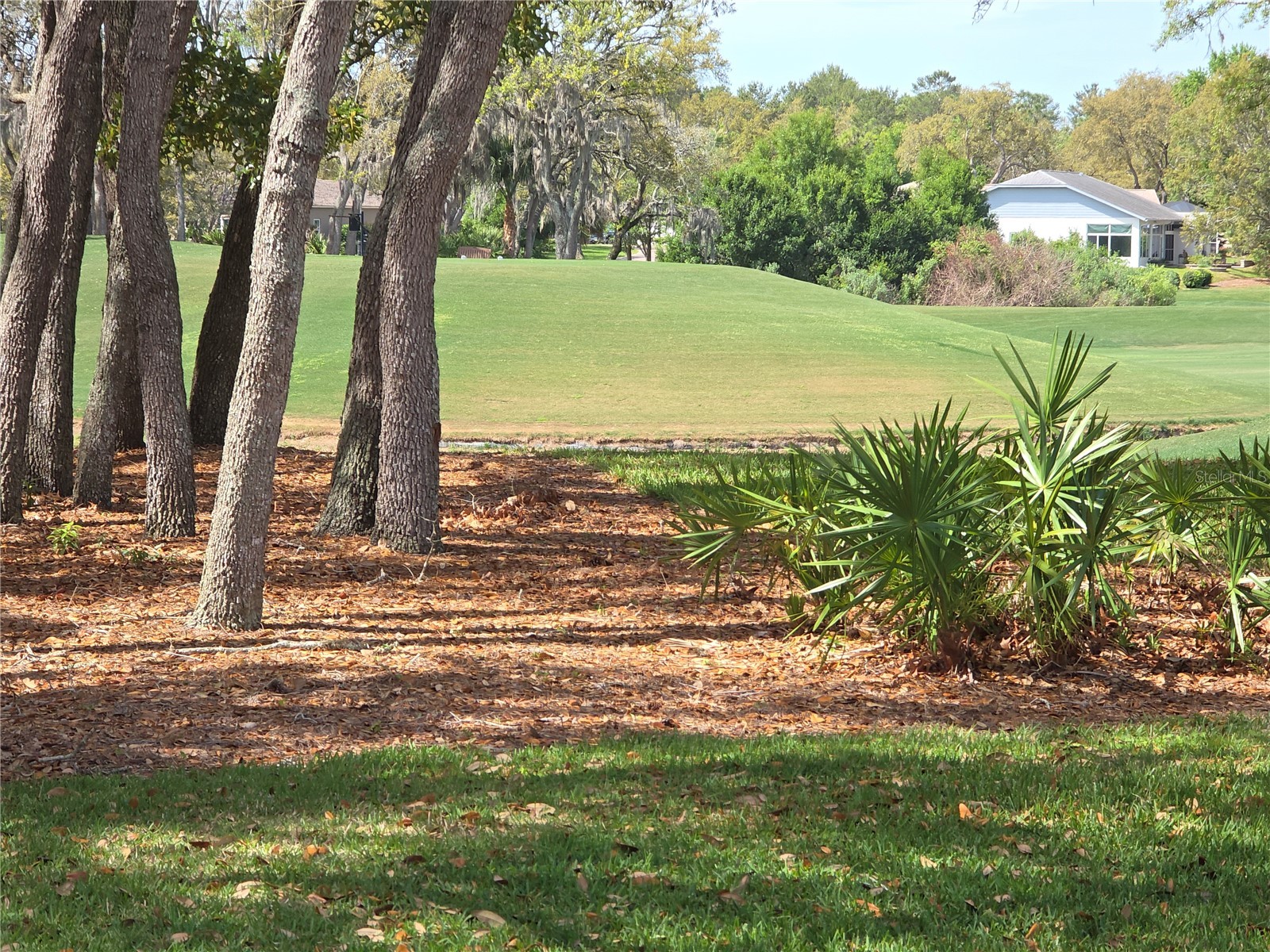 2019 Quailwood Lane Spring Hill FL 34606 W7884610 image24