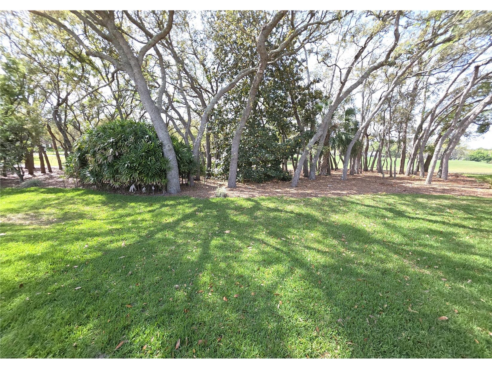 2019 Quailwood Lane Spring Hill FL 34606 W7884610 image25