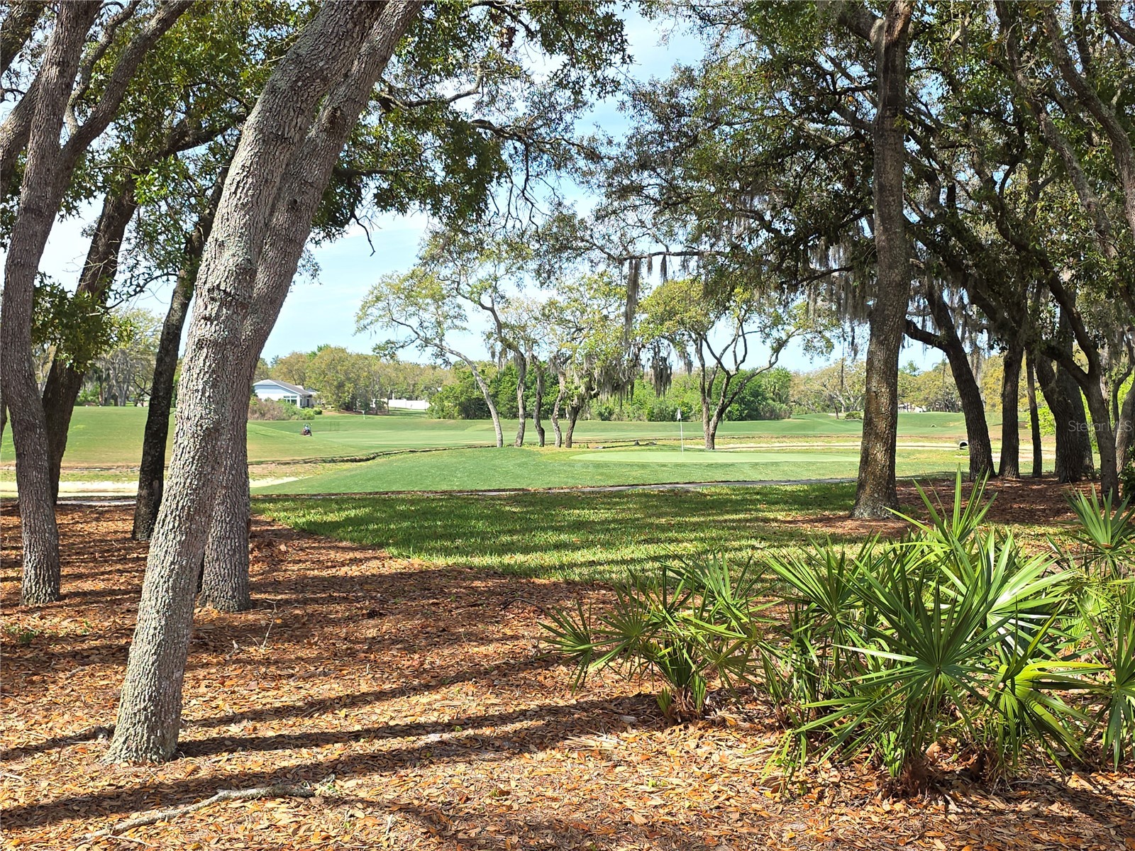 2019 Quailwood Lane Spring Hill FL 34606 W7884610 image26