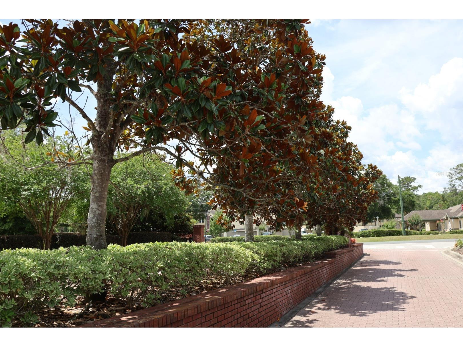2019 SE 29th Street Ocala FL 34471 OM718353 image7