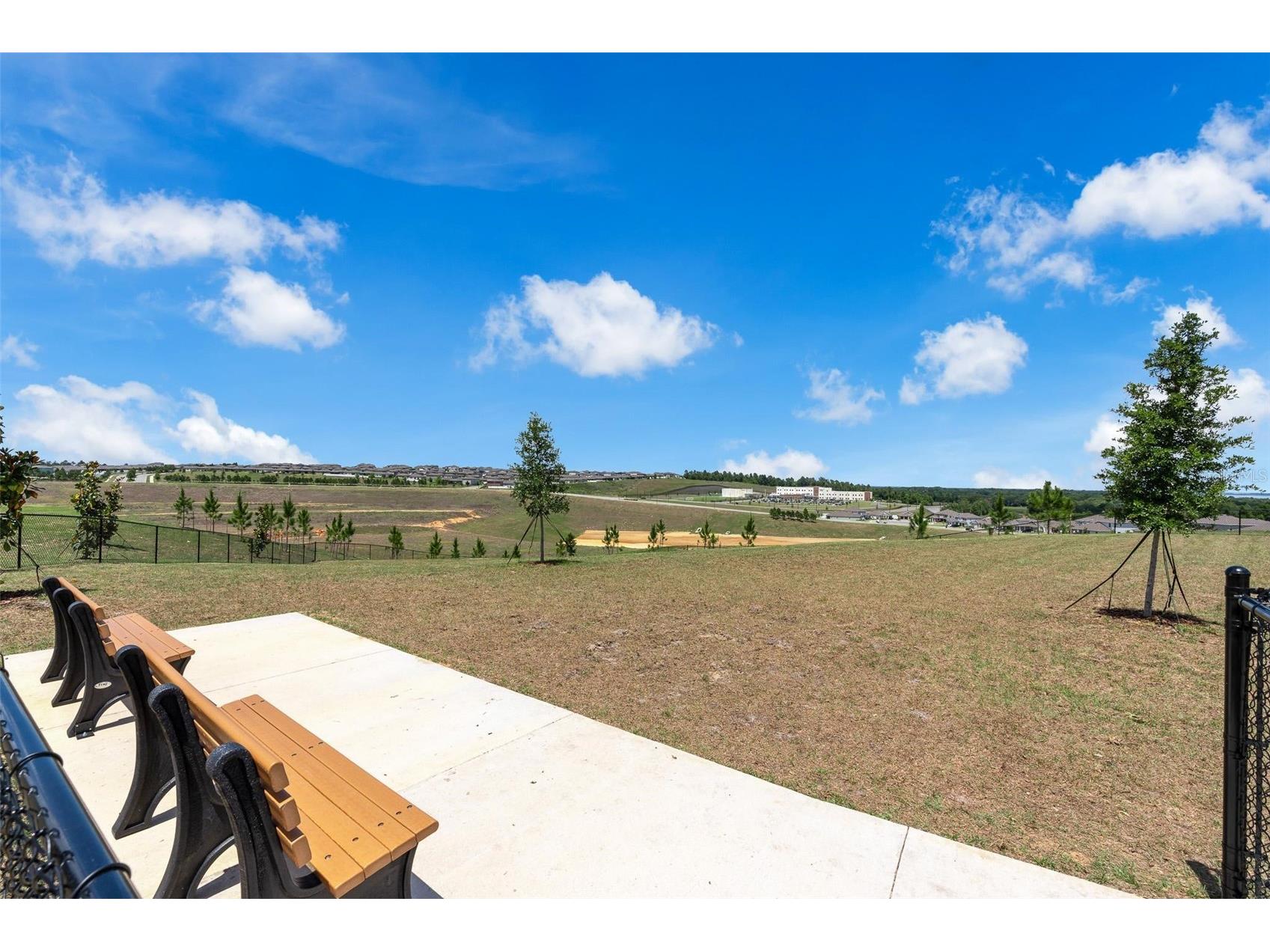 2019 Sunshine Peak Drive Minneola FL 34715 O6402382 image36