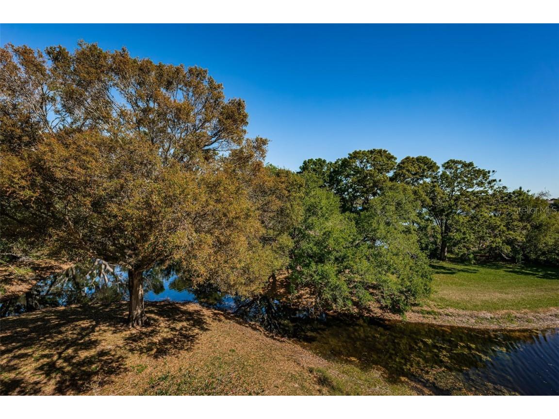 2019 Utopian Drive W #310 Clearwater FL 33763 TB8451419 image24