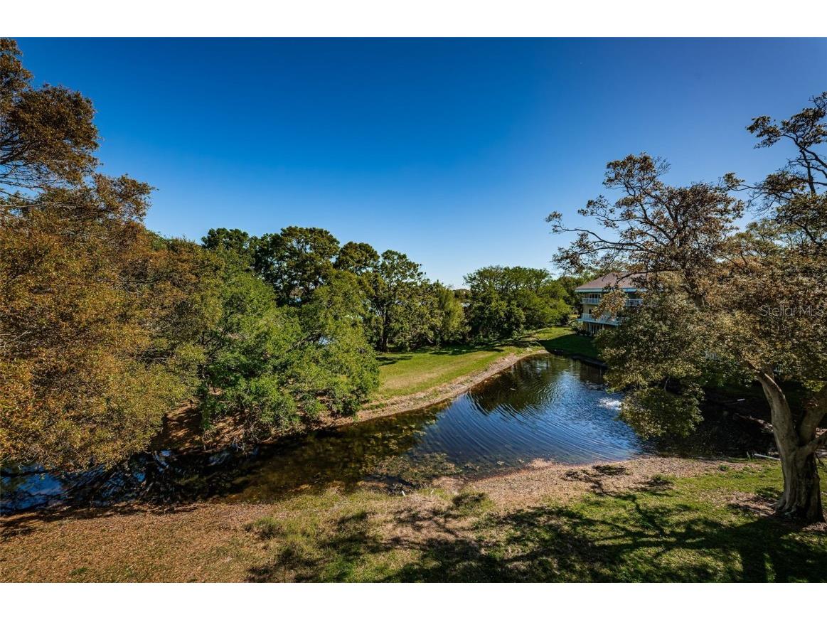 2019 Utopian Drive W #310 Clearwater FL 33763 TB8451419 image25