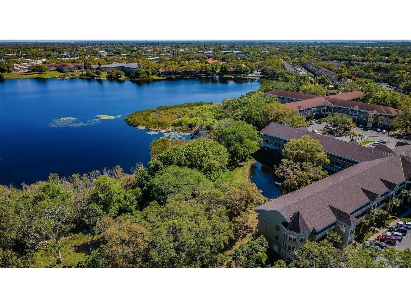 2019 Utopian Drive W #310 Clearwater FL 33763 TB8451419 image4