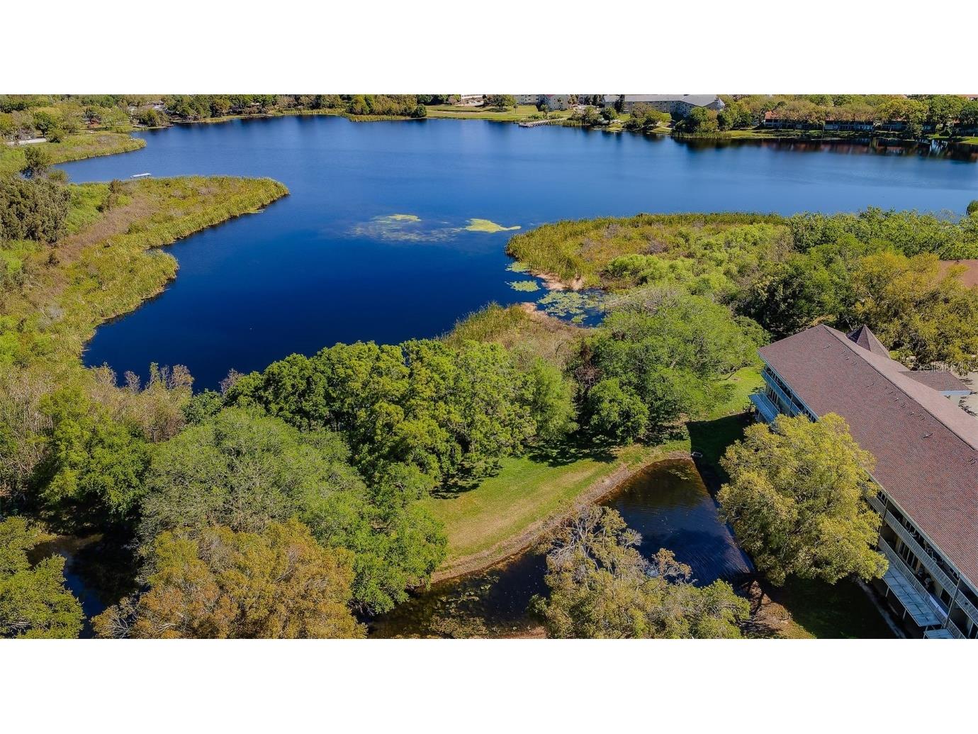 2019 Utopian Drive W #310 Clearwater FL 33763 TB8451419 image42