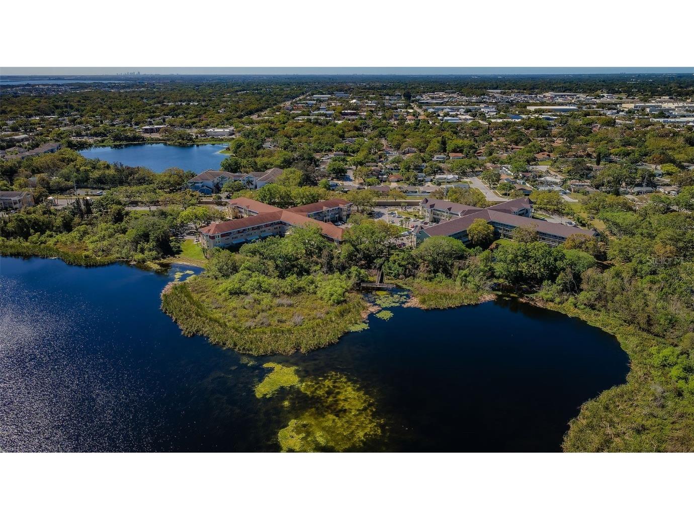 2019 Utopian Drive W #310 Clearwater FL 33763 TB8451419 image43