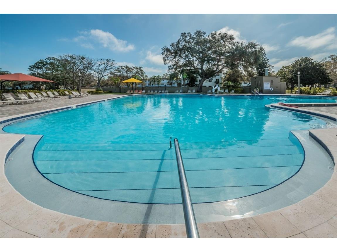 2019 Utopian Drive W #310 Clearwater FL 33763 TB8451419 image58