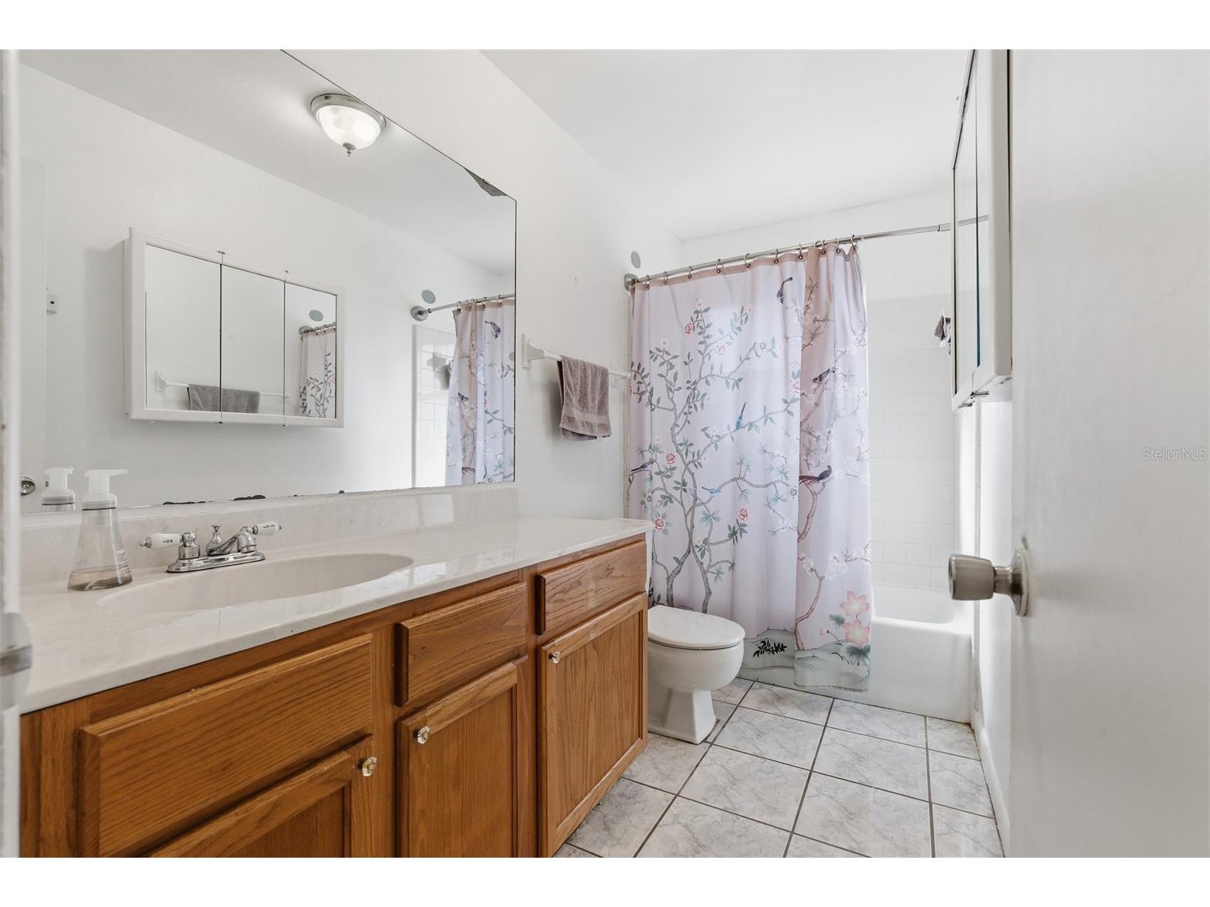 2019 W Jorome Drive Tampa FL 33612 A4679498 image22