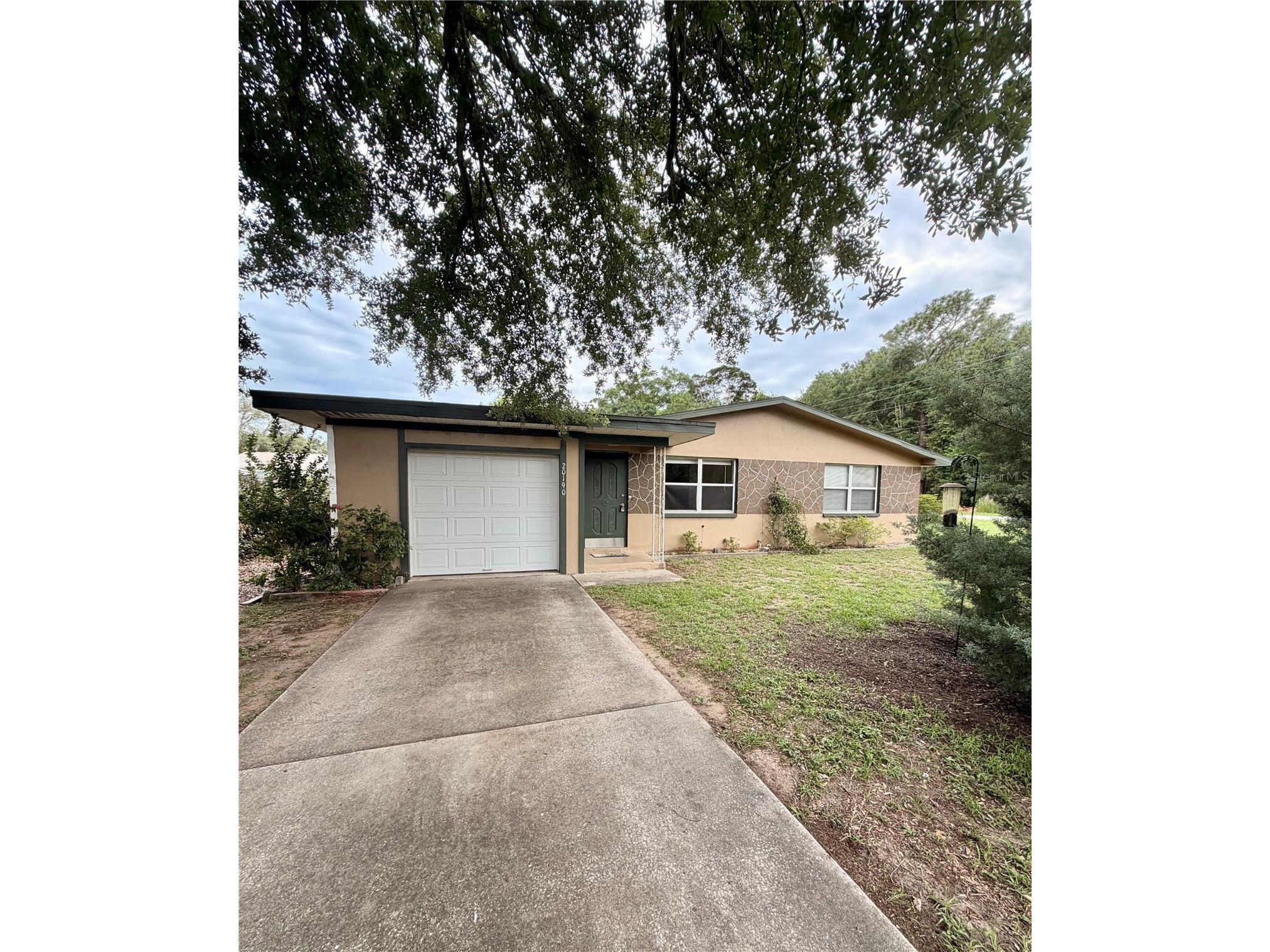 20190 SW 80th Place Road Dunnellon FL 34431 OM725691 image1