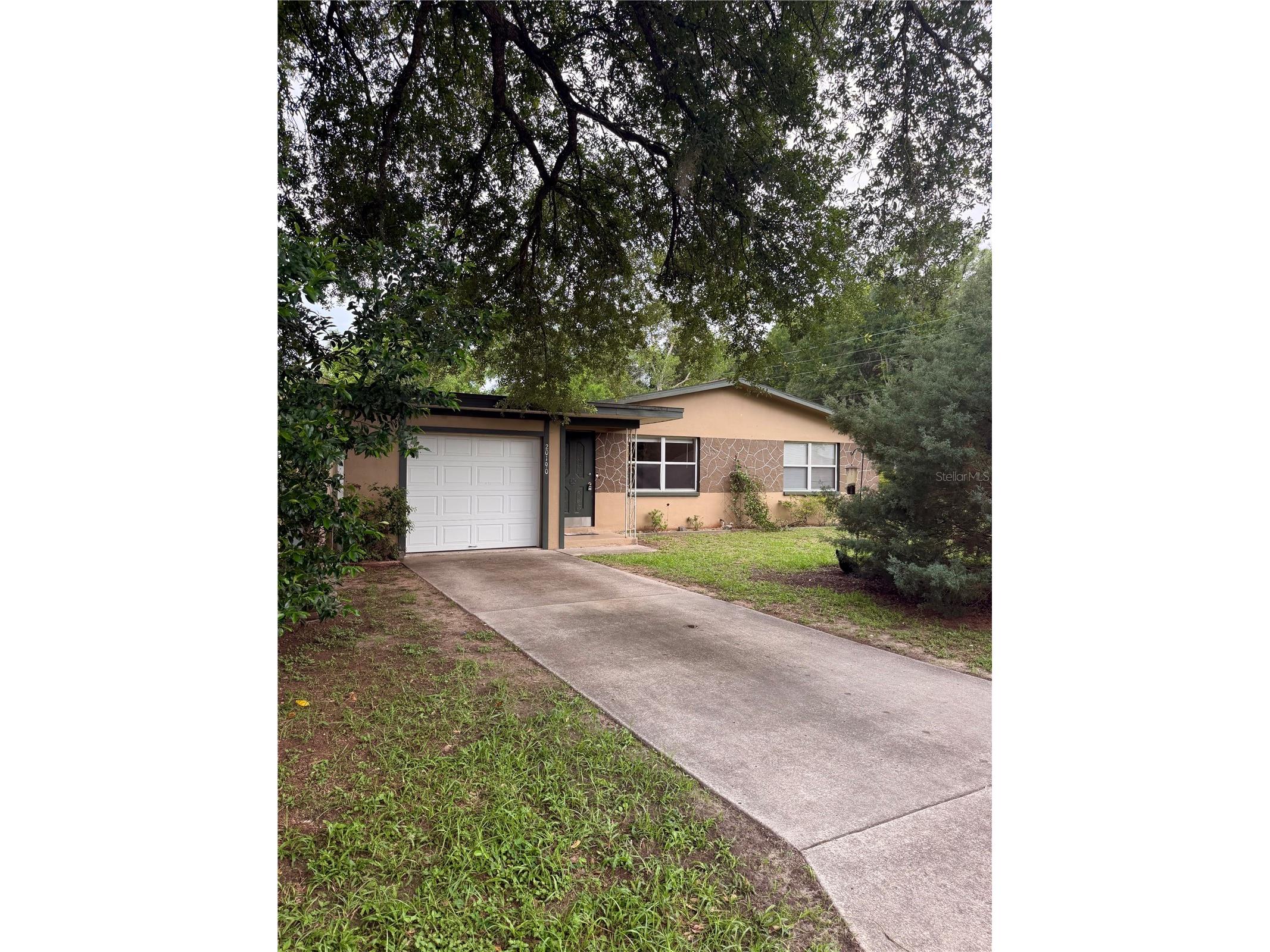20190 SW 80th Place Road Dunnellon FL 34431 OM725691 image10