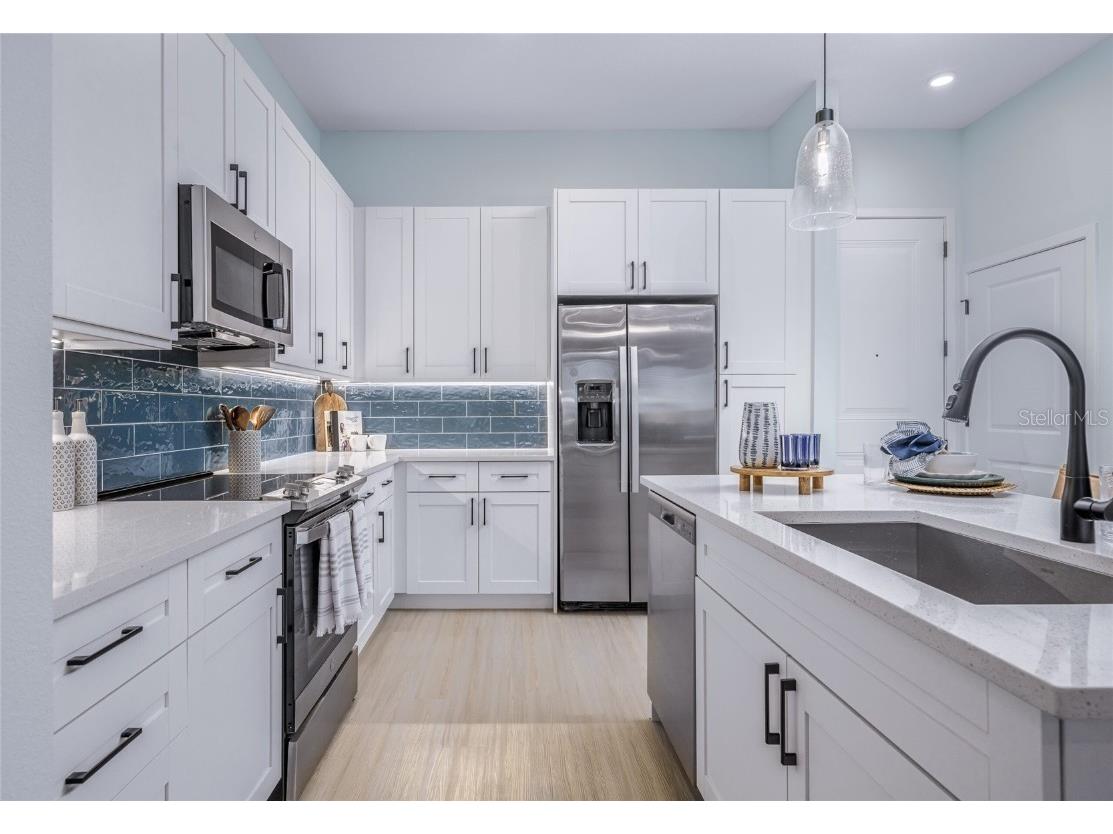 20191 Sabal Palm Court #A1.1 Land O Lakes FL 34638 O6339187 image20