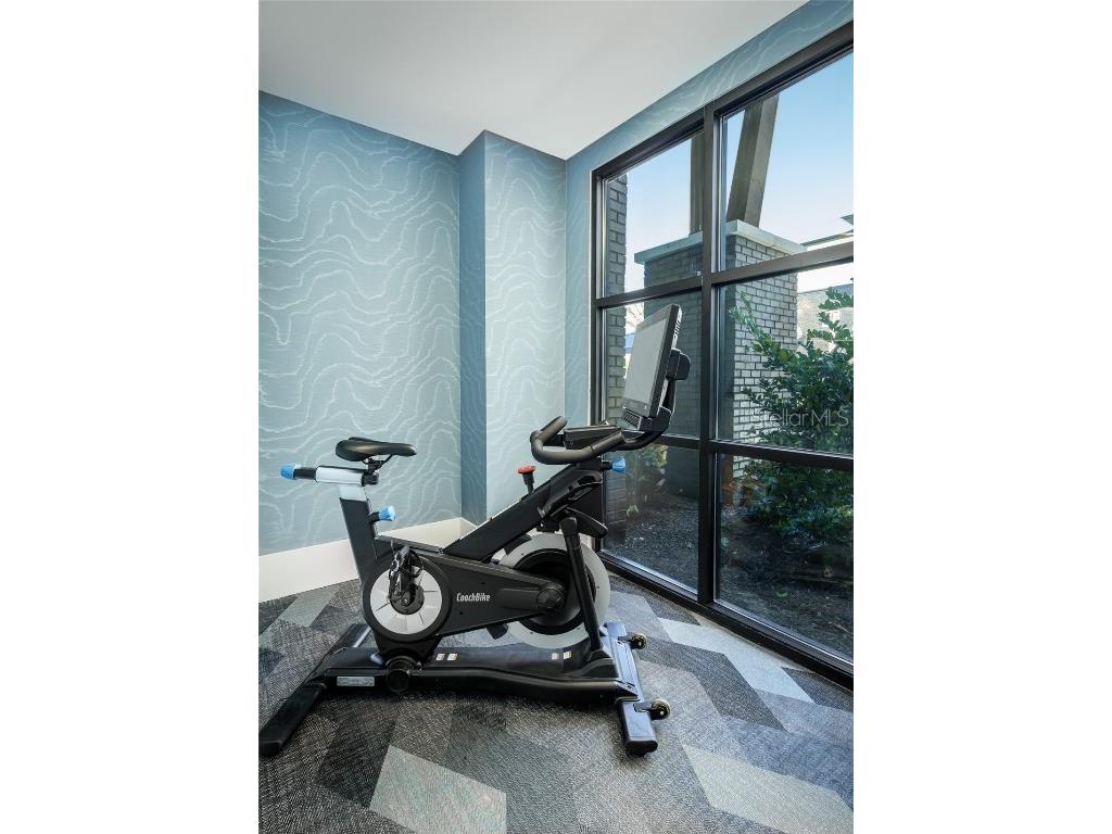 20191 Sabal Palm Court #C1 Land O Lakes FL 34638 O6339198 image14