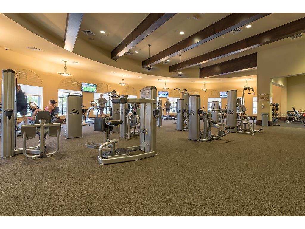 20197 Lagente Circle Venice FL 34293 N6141787 image88