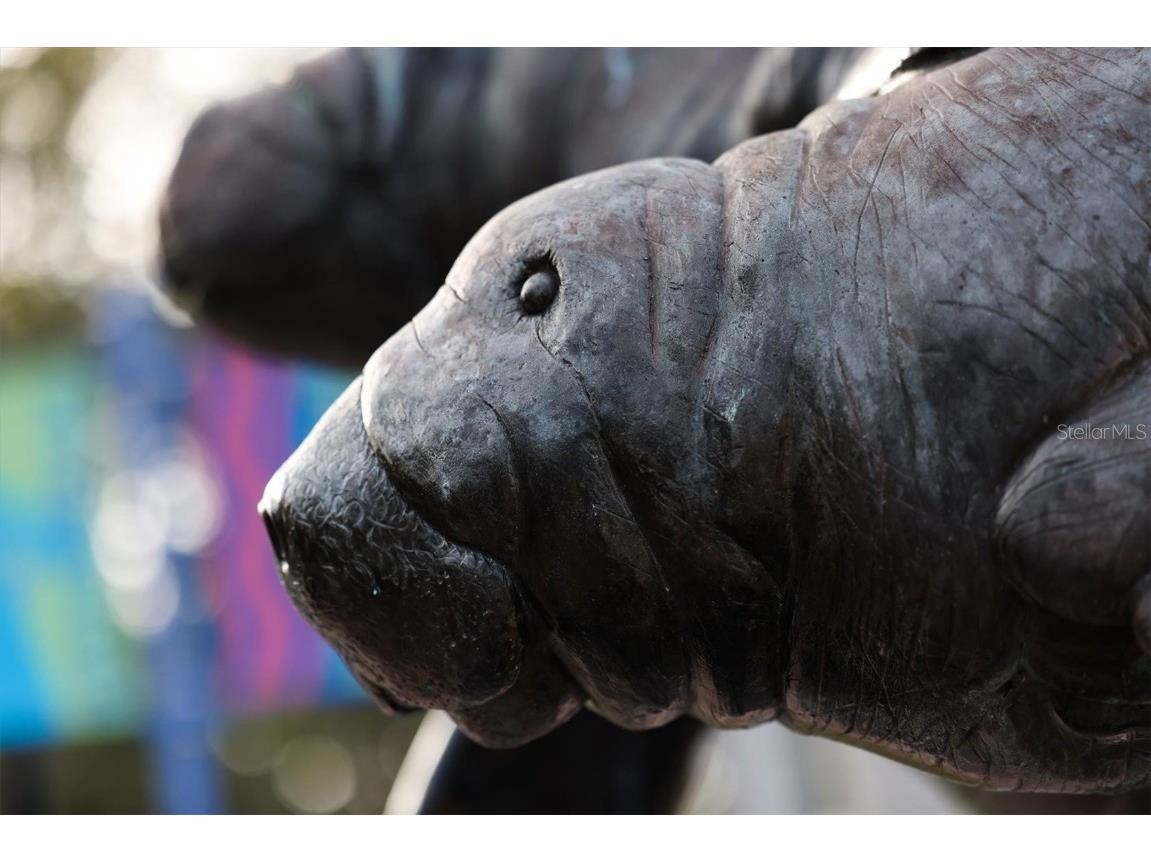 202 22nd Street W Bradenton FL 34205 - MANATEE RIVER A4666304 image44