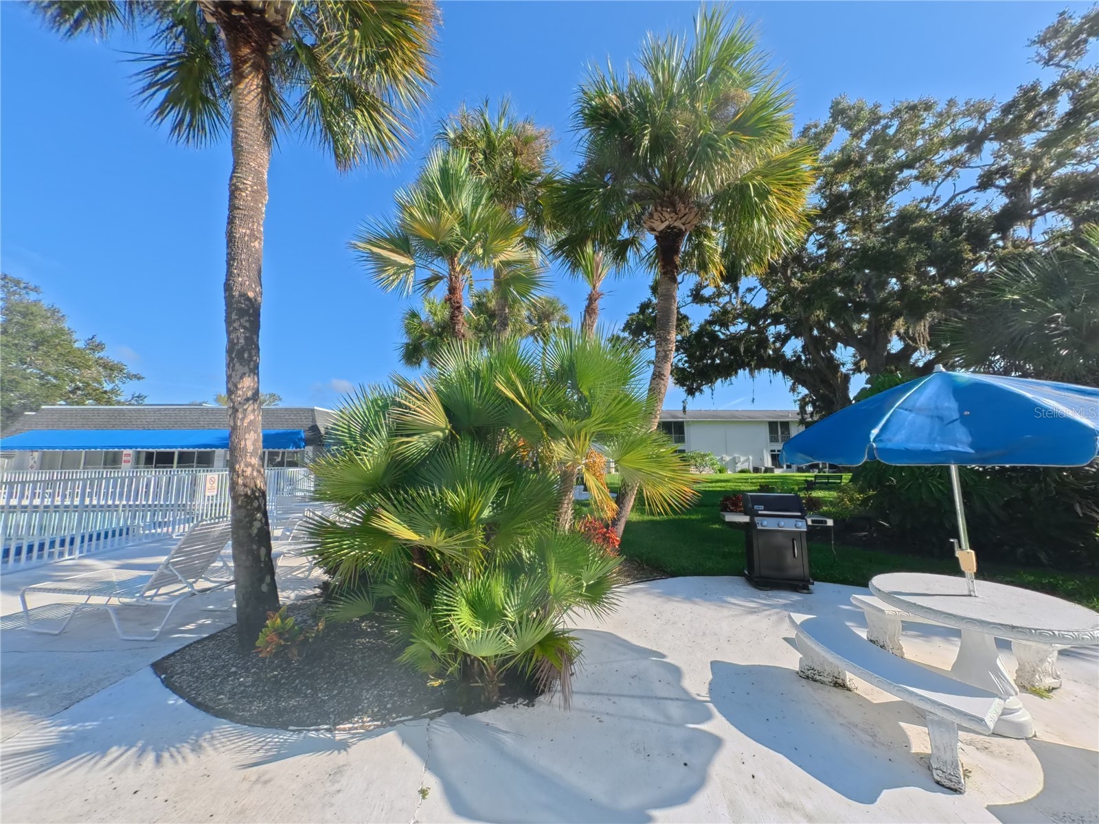 202 47th Avenue Drive W #332 Bradenton FL 34207 A4681109 image23